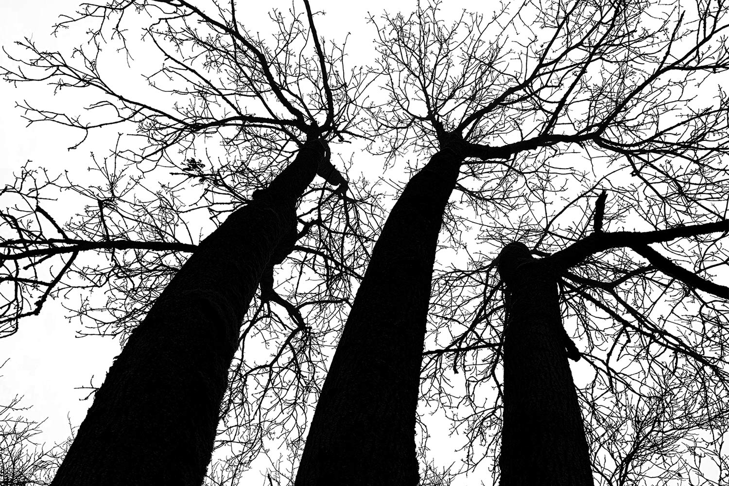 Fotoclub: Bild des Quartals 3.2025