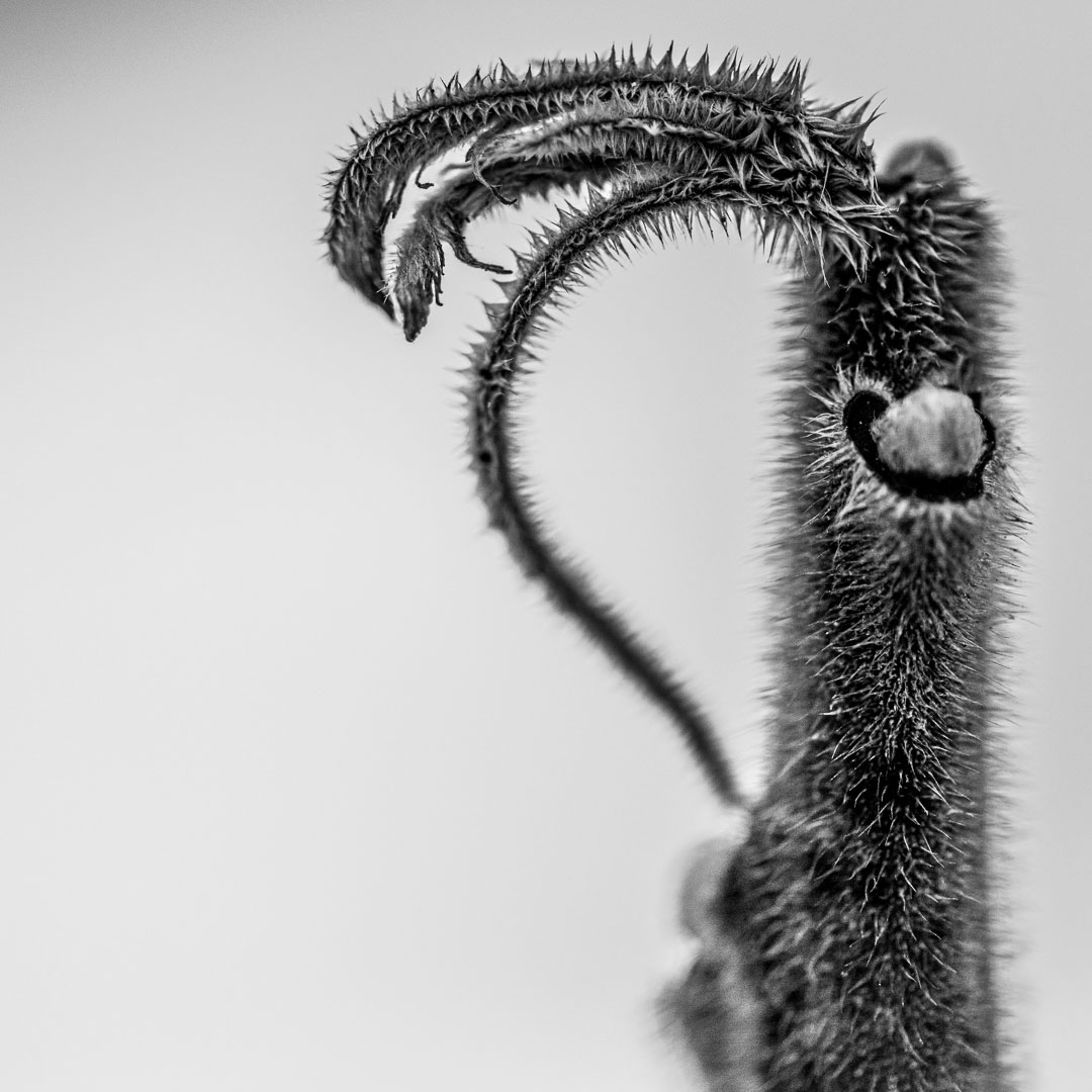 Fotoaktion Schatten