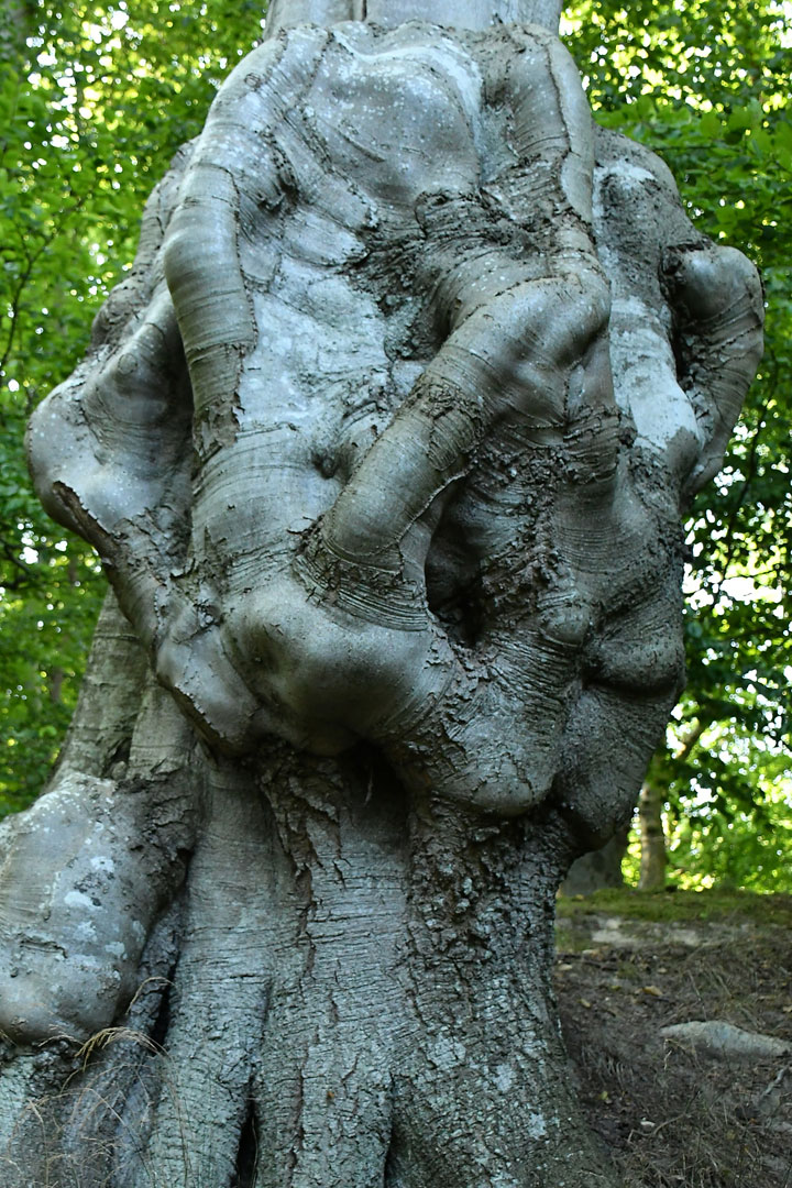2021-04-zz02-Der-Knoten-3-gg-5 Serie: Der Knoten 3 (Foto: Günter Giese)