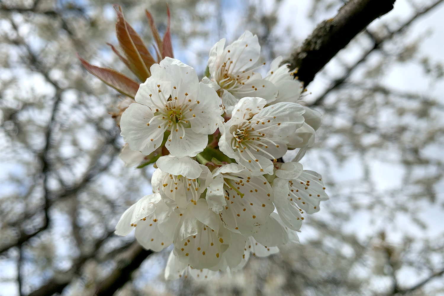 Sommer-Fotoclub bei PMS