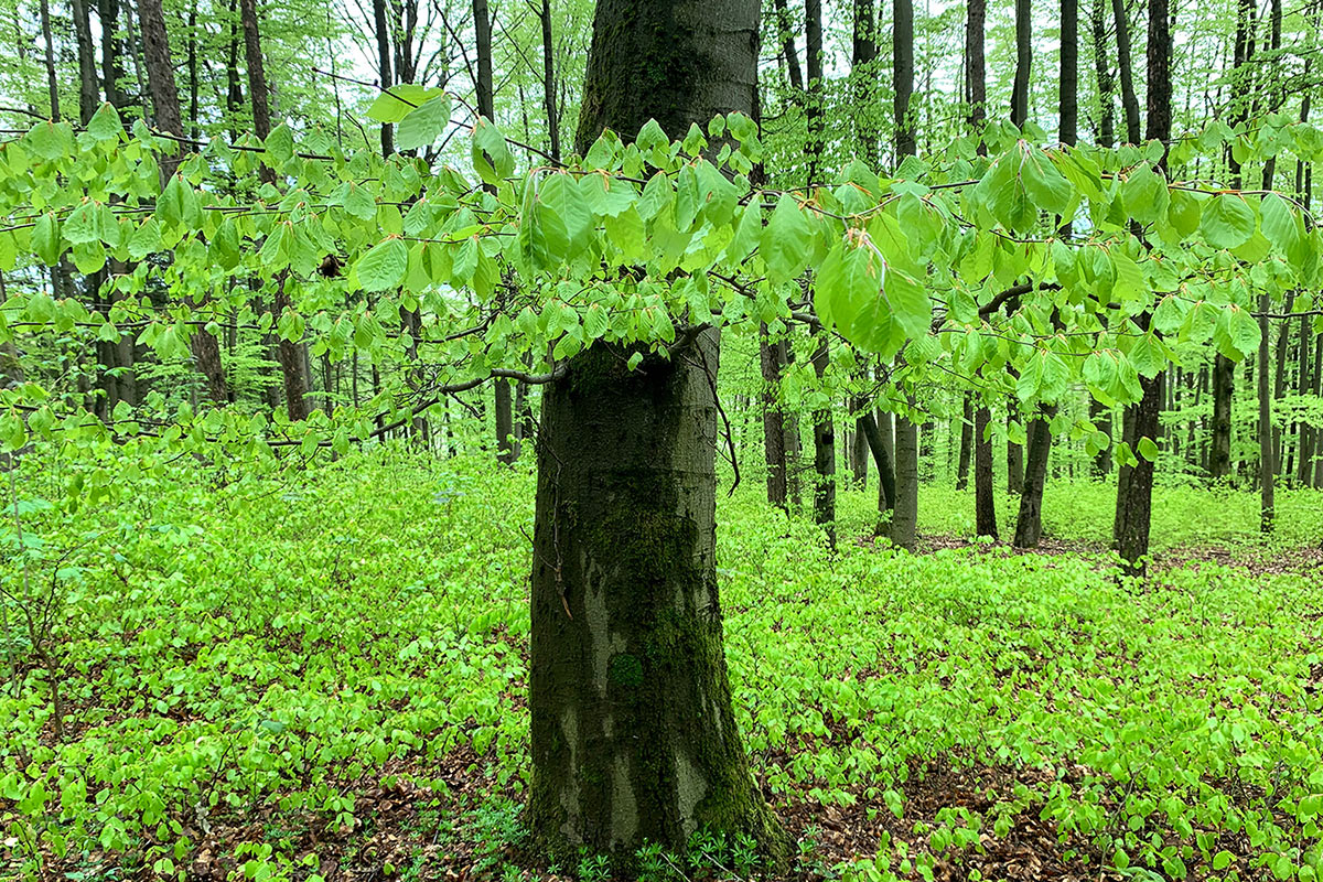 Fotoclub: Bild des Quartals 3.2025
