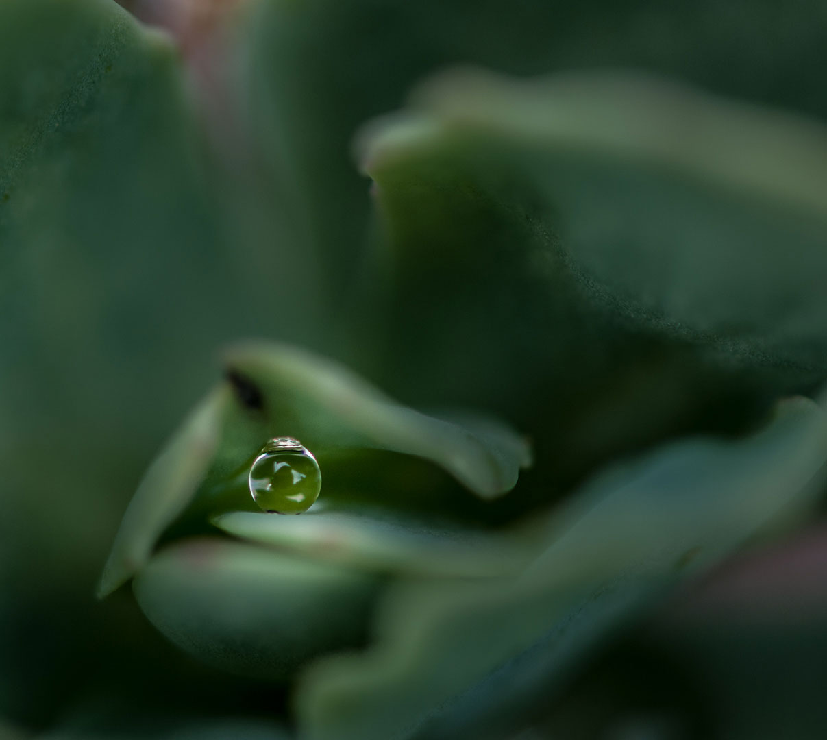 Fotoclub: Mappenbewertung