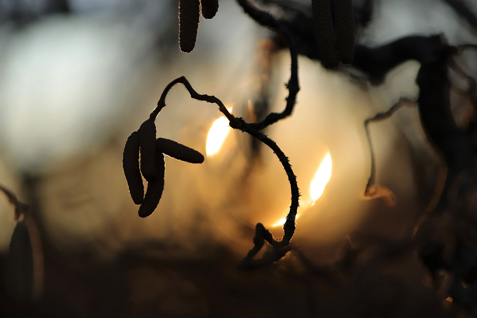 Abendstimmung (Foto: Kerstin Wolff)