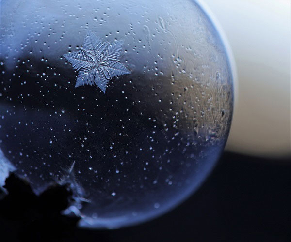 Eiskristall (Foto: Kerstin Wolff)