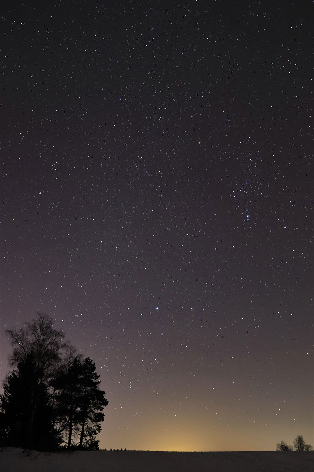 Himmelszelt (Foto: Michael Stürtz)