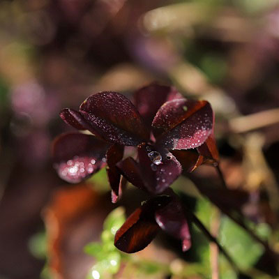 Fotoclubausstellung "Schau!" abbauen