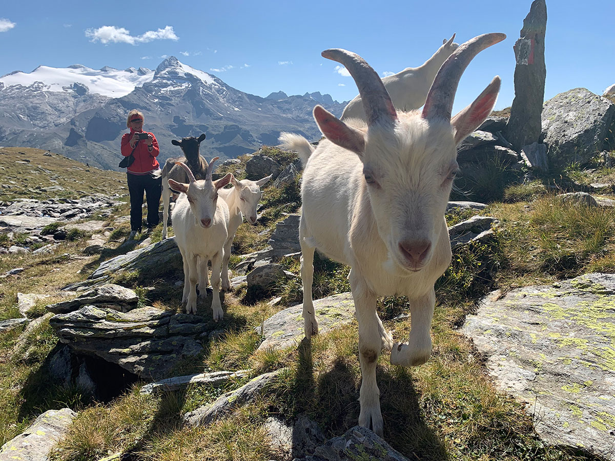 Wandergruppe (Foto: Andreas Kuhrt)