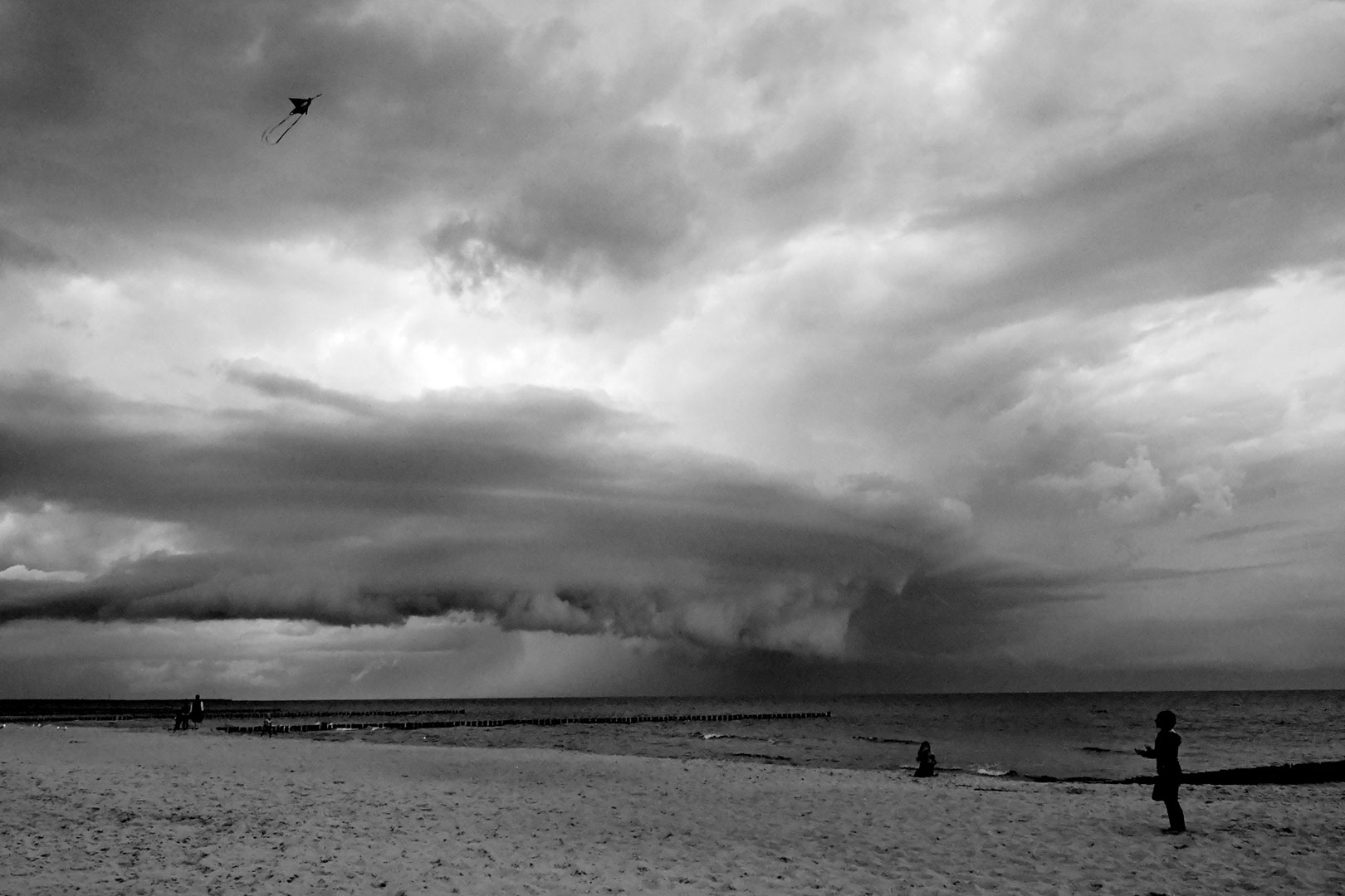 Fotoclub: Fotobearbeitung mit KI