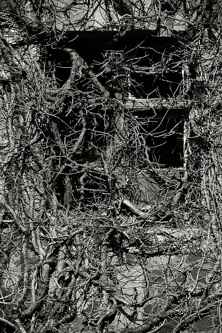 Fotoclub: Bild des Monats 7.2019