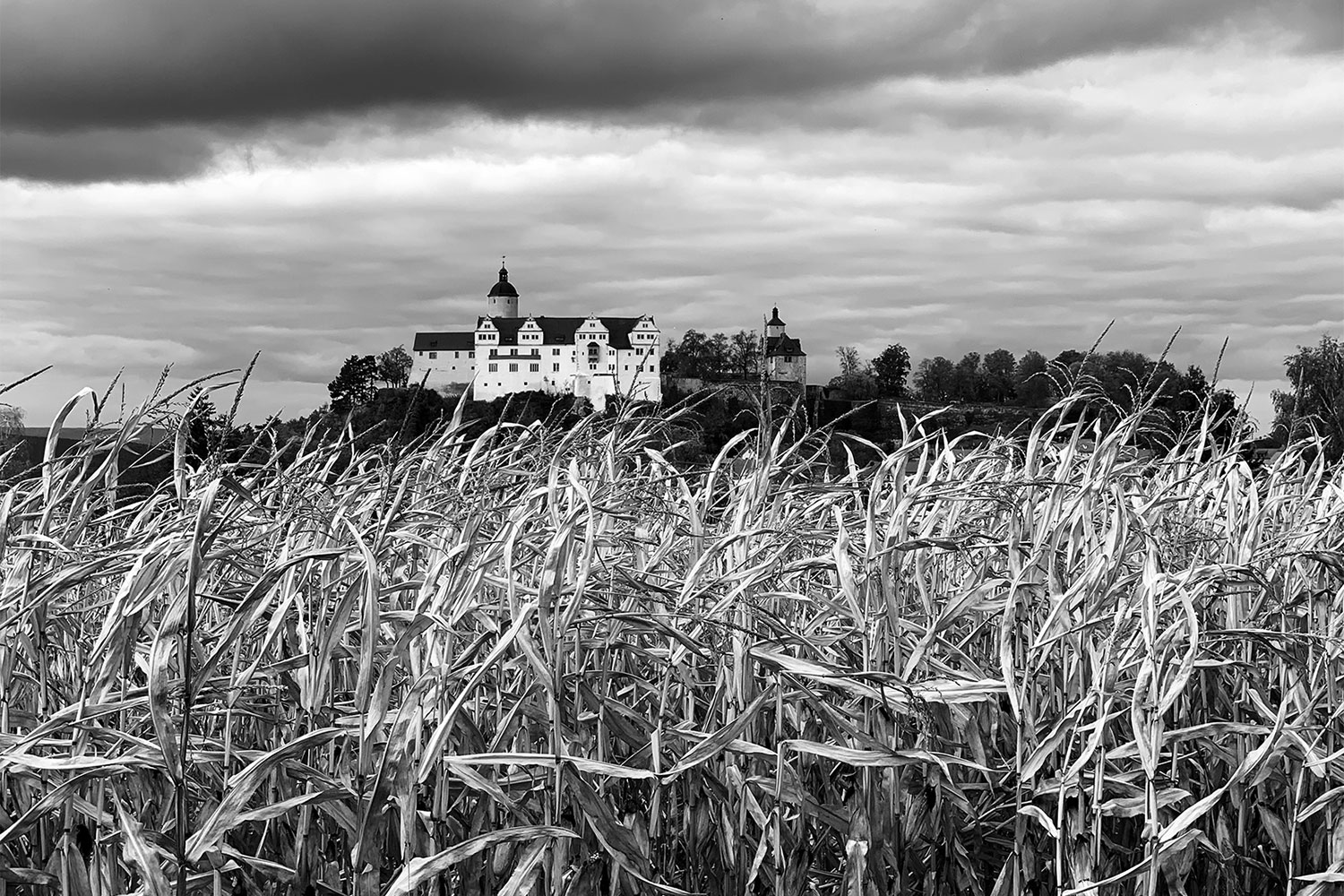 Fotoclub: Bild des Quartals 3.2025
