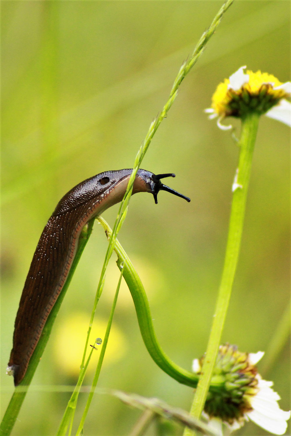 Hunger (Foto: Michael Stürtz)