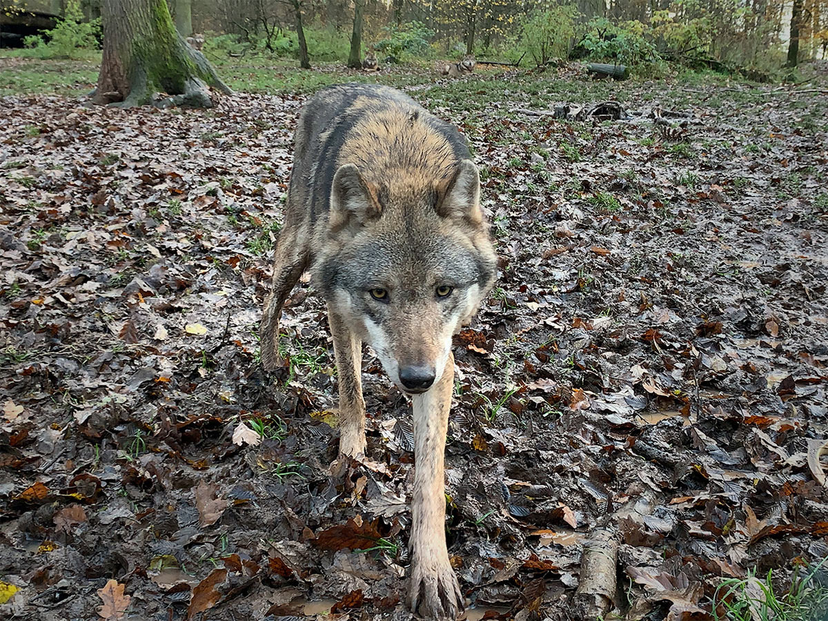 Serie: Vorsicht 1 (Foto: Andreas Kuhrt)
