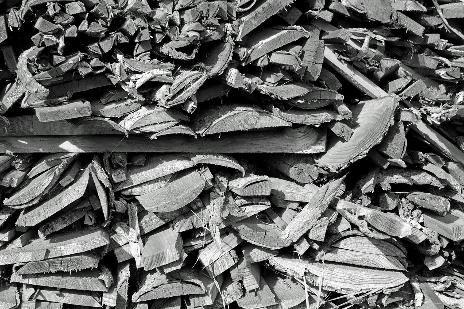 Serie: Holz 2 (Foto: Claus Gebhardt)