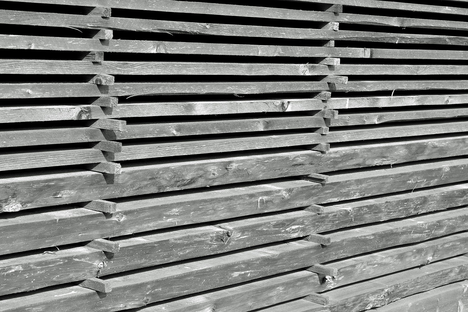 Serie: Holz 3 (Foto: Claus Gebhardt)