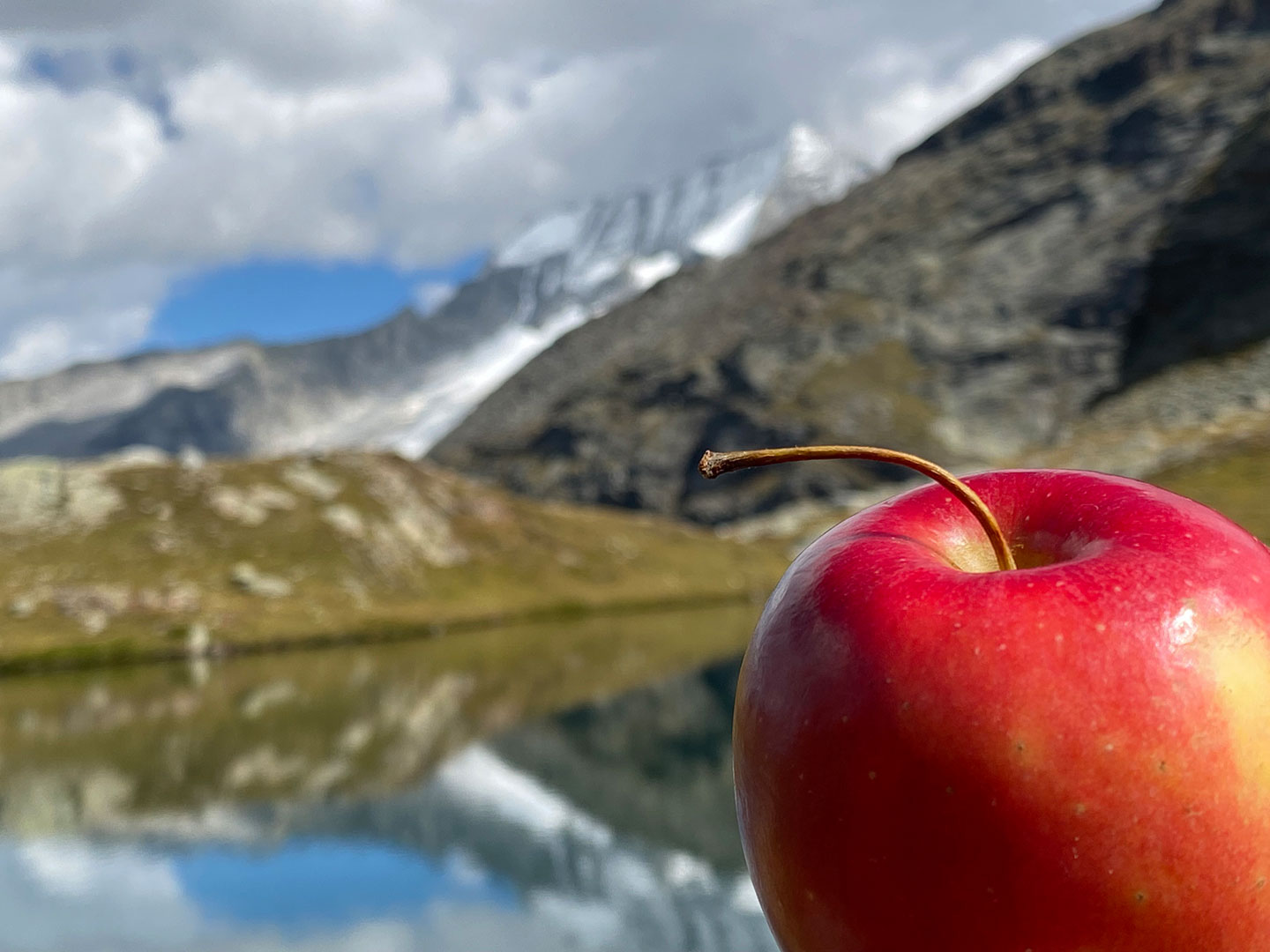 Fotoclub: Mappenbewertung