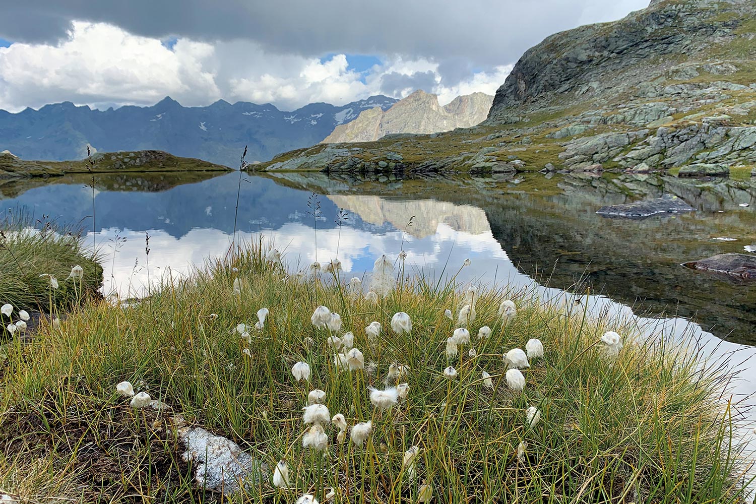 Fotoclub: Bild des Monats 07.2020