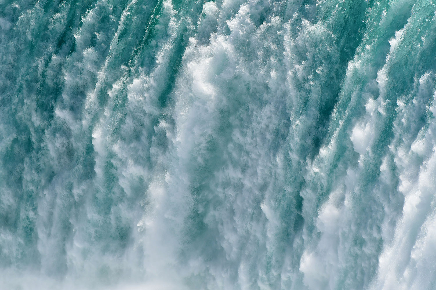 Fotoclub: Bild des Quartals 3.2025