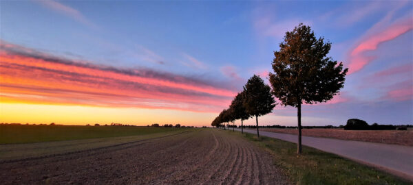 Abendrot (Foto: Dietmar Schmidt)