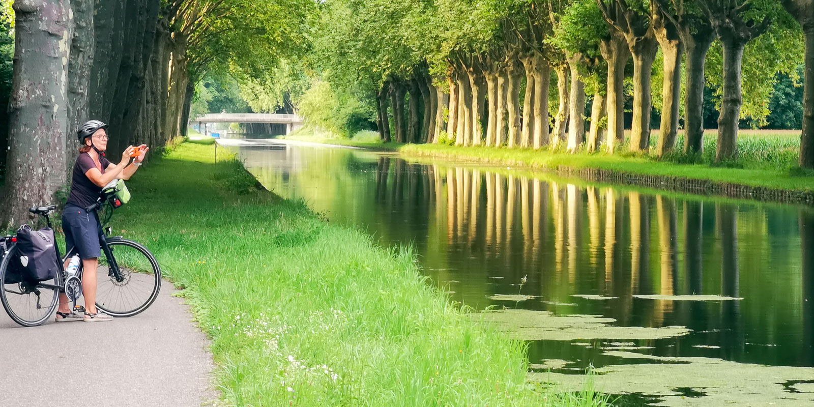 Fotoclub: Bild des Monats 7.2019