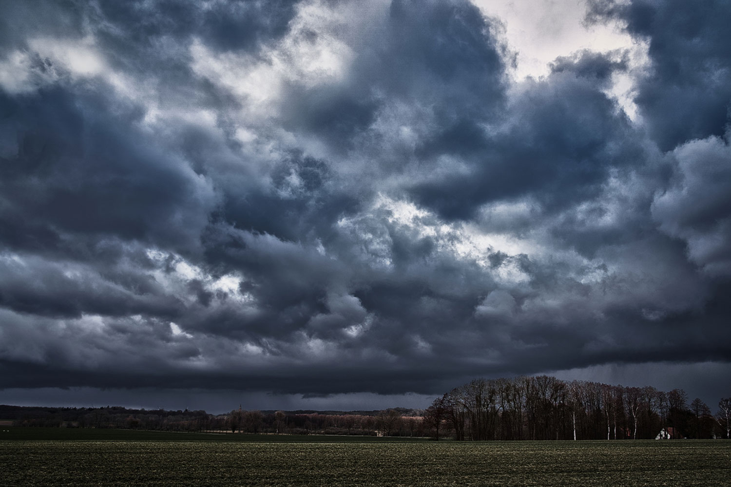 Fotoclub: Bild des Monats 12.2021