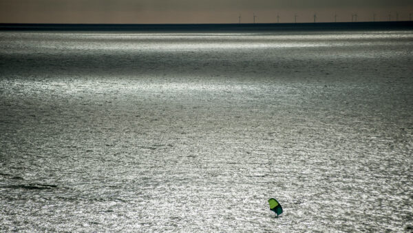 Windgetrieben (Foto: Uli Pfeufer)