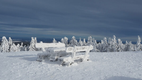 Winter (Foto: Dietmar Schmidt)