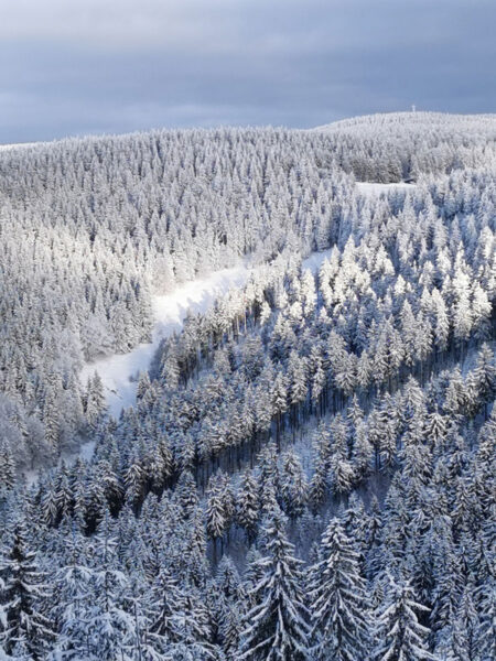 Winterwelt (Foto: Ines Koch)