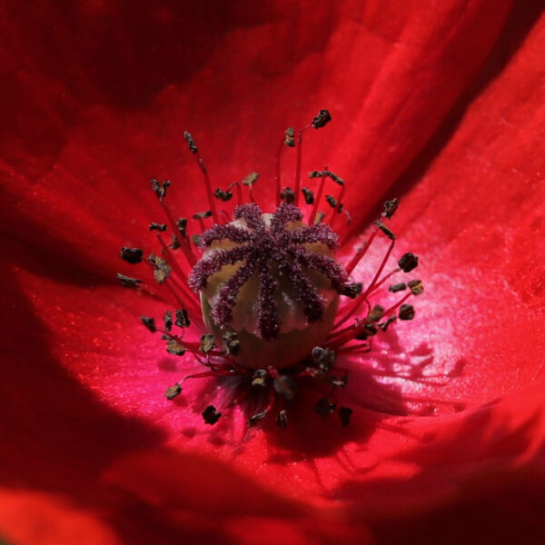 Blickpunkt (Foto: Kerstin Wolff)