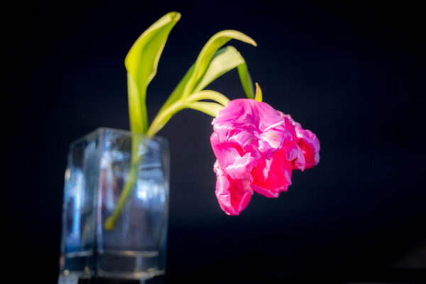 Einzelhänger (Foto: Uli Pfeufer)