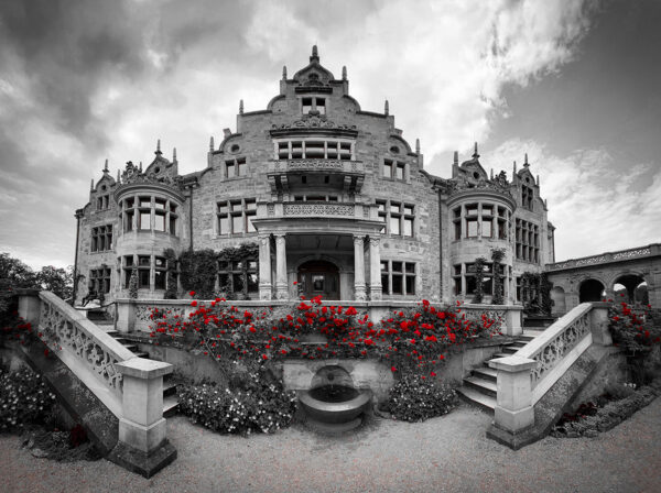 Erwacht (Foto: Manuela Hahnebach)