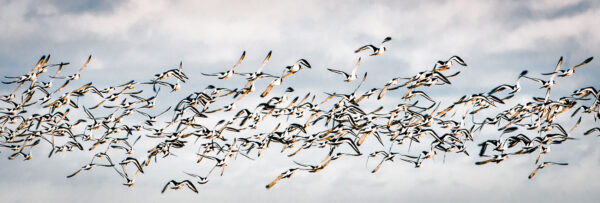 Flugbetrieb (Foto: Jens Gutberlet)