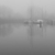 Hafen im Nebel (Foto: Christian Daether)
