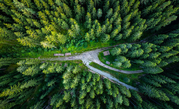 Himmelsblick (Foto: Jens Gutberlet)