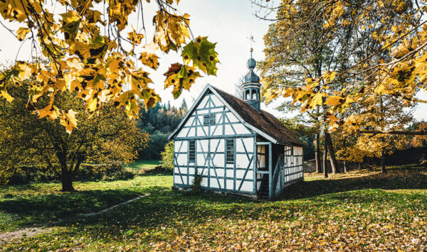 Kirchenblätter (Foto: Jens Gutberlet)