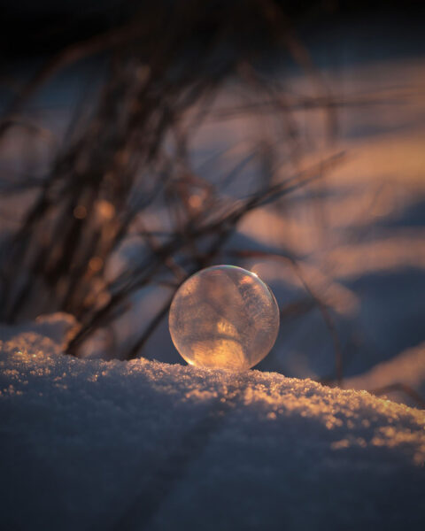 Kühle Abendstimmung (Foto: Kerstin Wolff)