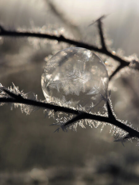 Kühle Eleganz (Foto: Kerstin Wolff)