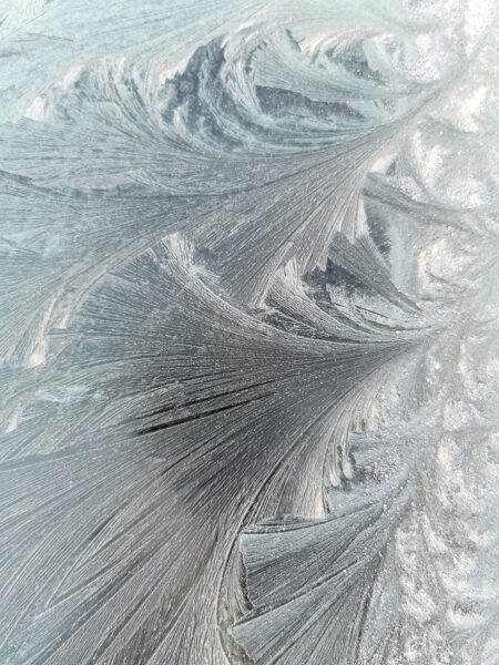 malt Blumen und Blätter (Foto: Ines Koch)