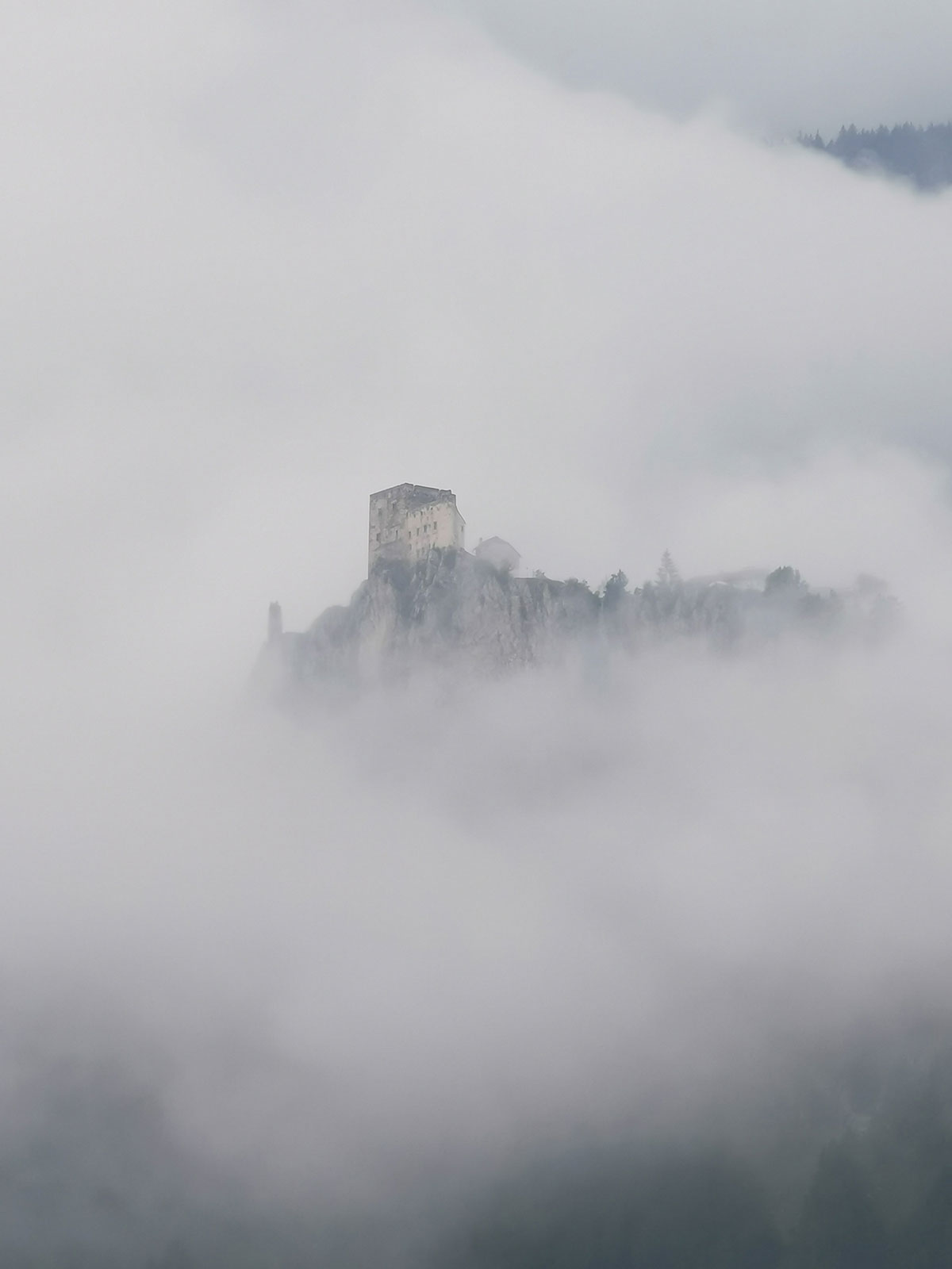 Fotoclub: Fotobearbeitung mit KI