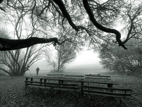 Nebelbänke (Foto: Manuela Hahnebach)