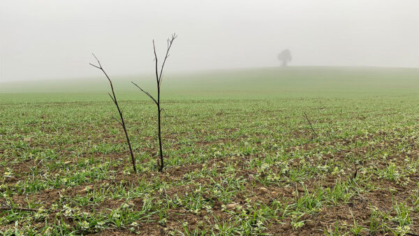 November (Foto: Andreas Kuhrt)