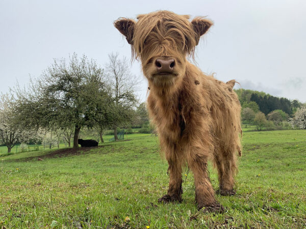 Pubertier (Foto: Andreas Kuhrt)