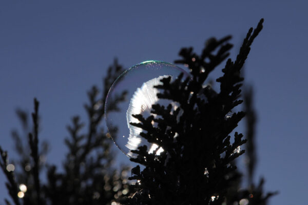 Schattenspiel (Foto: Kerstin Wolff)