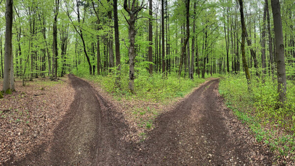 Scheideweg (Foto: Andreas Kuhrt)
