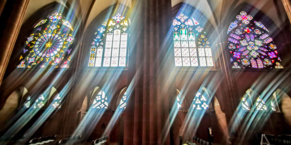 Schein (Foto: Uli Pfeufer)