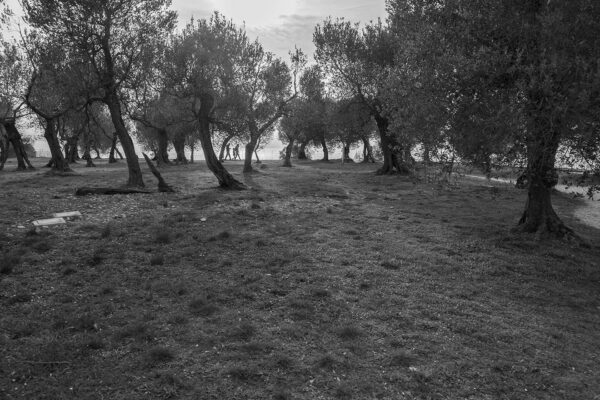 Sirmione Catull (Foto: Christian Daether)