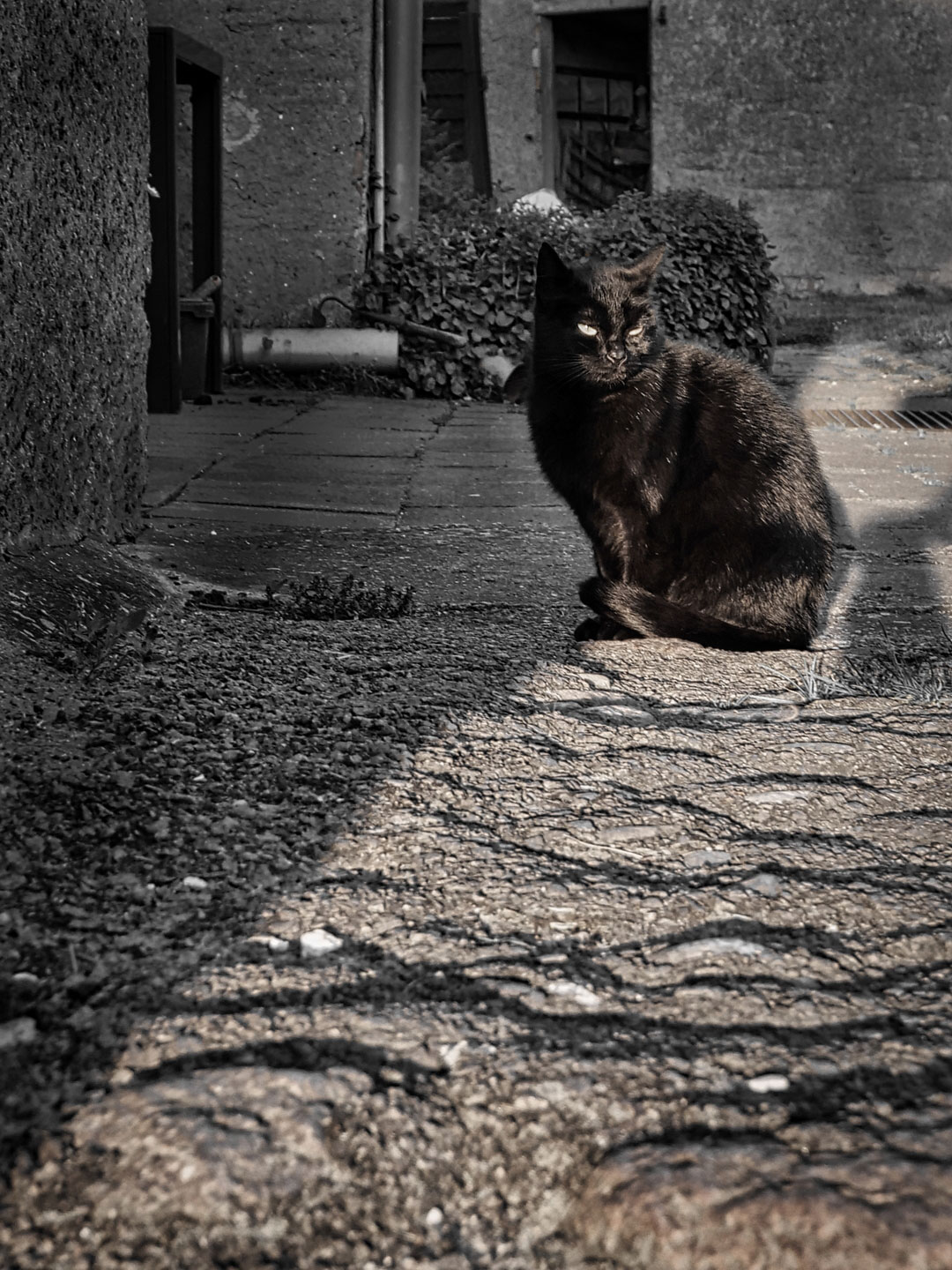 Fotoclub: Bild des Monats 01.2023