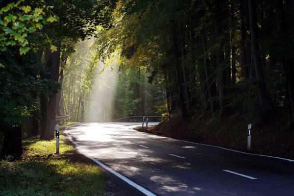 Street (Foto: Julia Hollandt-Moritz)