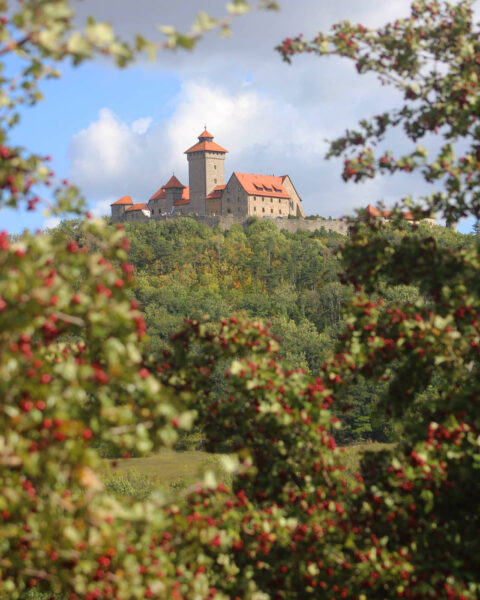 Wachsenburg (Foto: Michael Oehlsen)