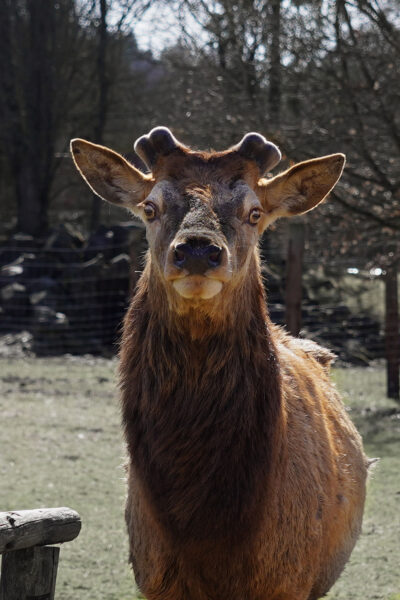 Was gibts zu sehen? (Foto: Roland Kastner)
