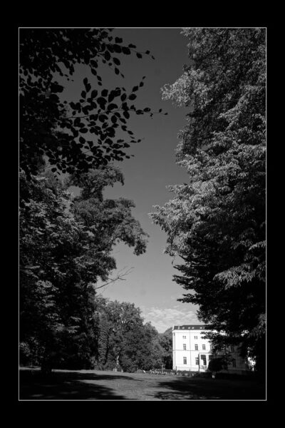 Serie: Parkspaziergang 2 (Foto: Günter Giese)